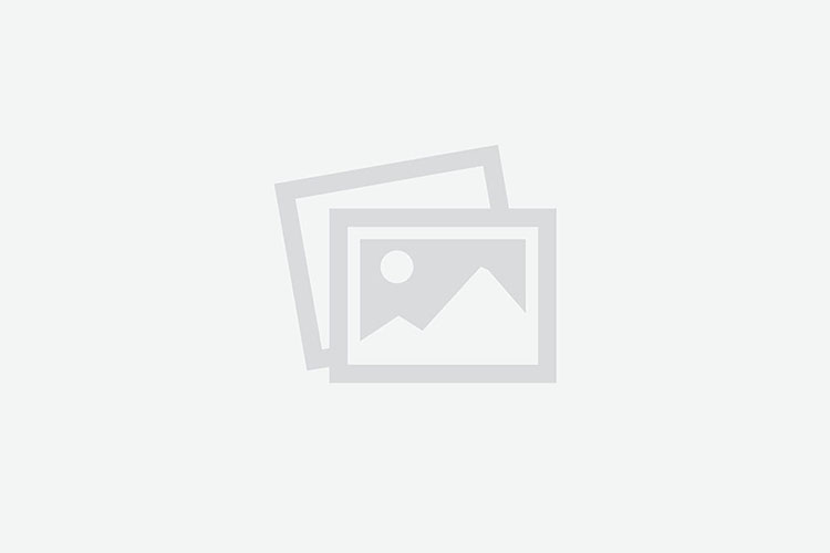 அரப்பு செடி