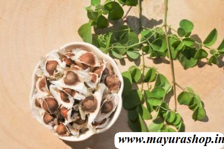  செடி முருங்கை 5 Grm Pocket