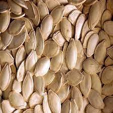 நீல சுரை-விதை