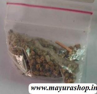  பாலக்கீரை 5 Grm Pocket-விதை