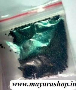  முளைக்கீரை 5 Grm Pocket-விதை