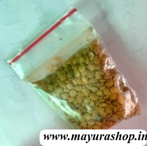 வரி கத்திரி 5 Grm Packet 