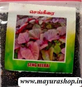 செங்கீரை 5 Grm Packet -விதை