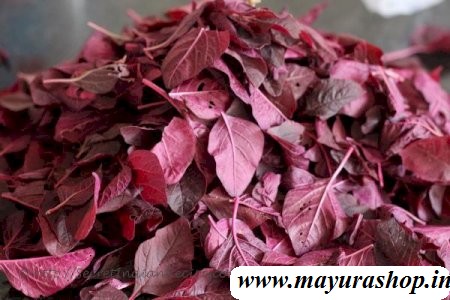 செங்கீரை 5 Grm Packet -விதை