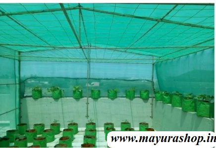 Green Shade Net -  75 % - 100 Square feet 