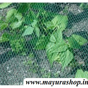 Garden plant Climbing rope  6" x 4 "