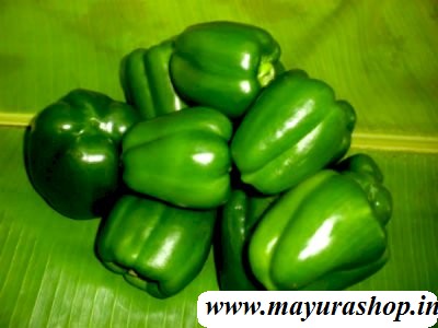 குடைமிளகாய்  விதை   5 Grm Packet -விதை