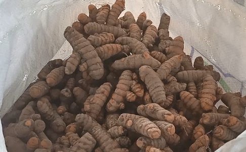 நாட்டு மஞ்சள் கிழங்கு  900 Grm - ₹ 100