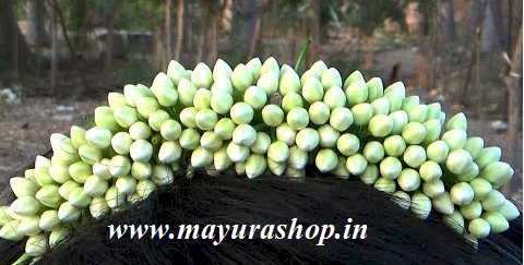 முத்து நந்தியாவட்டை 