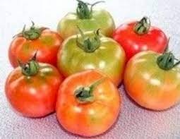 நாட்டு தக்காளி-விதை