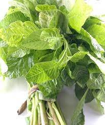 பச்சை தண்டு கீரை-விதை