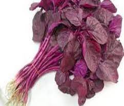 சிவப்பு தண்டு கீரை-விதை