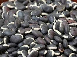 கருப்பு மொச்சை-விதை