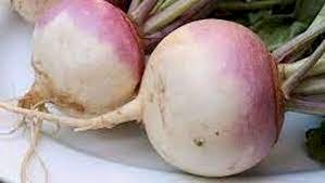 டர்னிப்-விதை