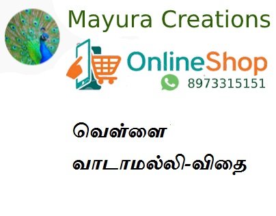 வெள்ளை வாடாமல்லி-விதை