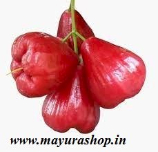 Water Apple Plant Red