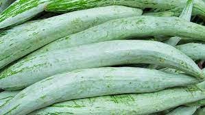 புடலை-விதை