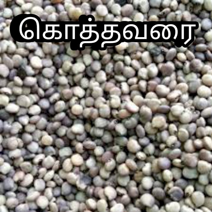 கொத்தவர-விதை