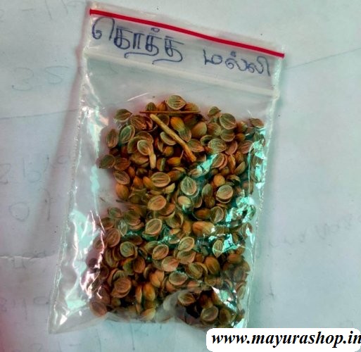  நாட்டு கொத்தமல்லி Country Coriander 5 Grm Pocket