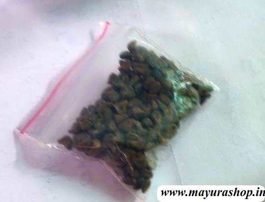  பச்சை புளிச்ச கீரை 5 Grm Pocket-விதை