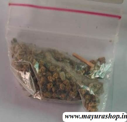  பாலக்கீரை 5 Grm Pocket-விதை