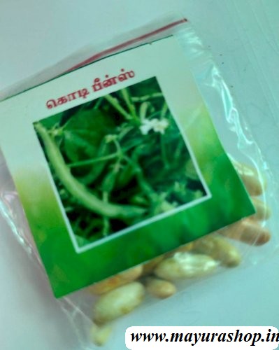  செடி பீன்ஷ் 5 Grm Pocket