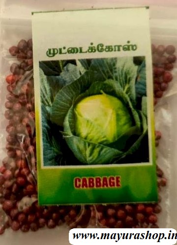  முட்டை கோஸ், 5 Grm Pocket