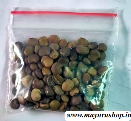  கொத்தவரை Clusterbeans 5 Grm Pocket