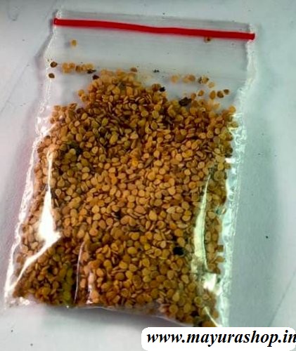  மணதக்காளி, 5 Grm Pocket