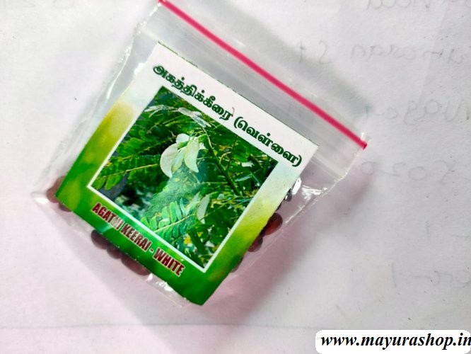 வெள்ளை அகத்தி 5 Grm Packet 