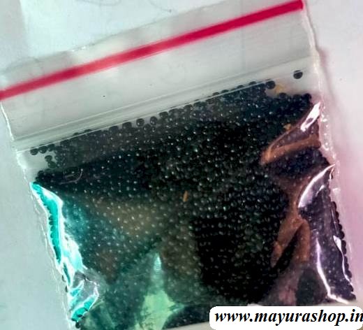  தண்டுக்கீரை 5 Grm Pocket-விதை