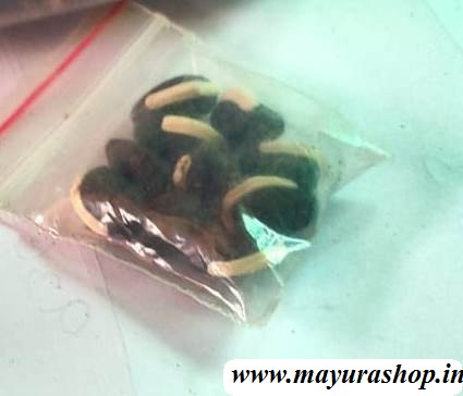  கோழி அவரை 5 Grm Pocket-விதை