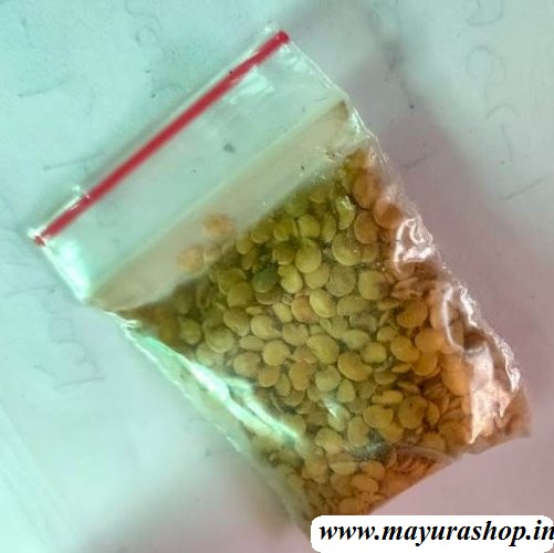 வரி கத்திரி 5 Grm Packet 