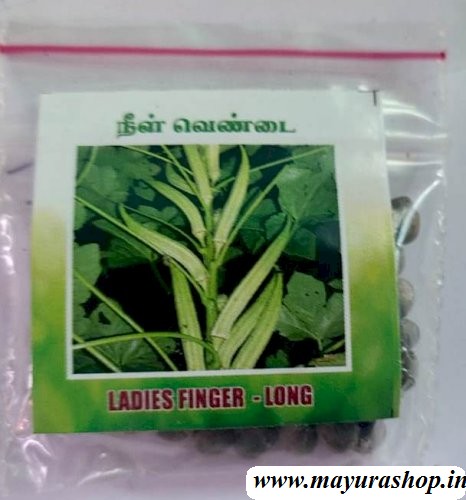 நீள வெண்டை  5 Grm Packet 