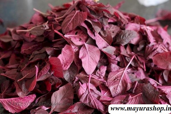 செங்கீரை 5 Grm Packet -விதை
