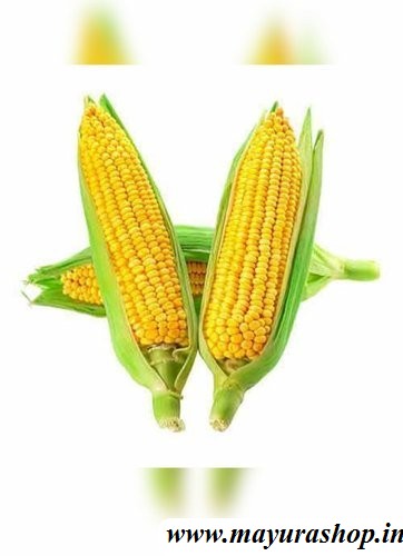 sweat corn  5 Grm Packet 