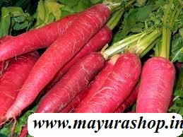 சிகப்பு முள்ளங்கி 5 Grm Pocket
