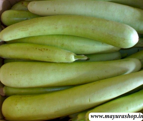 நீள சுரை 5 Grm Pocket