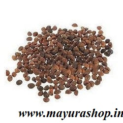  பசலை கீரை 5 Grm Pocket-விதை