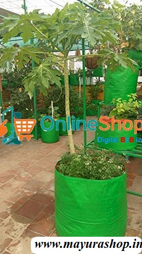 24x24 Growbag  200 GSM
