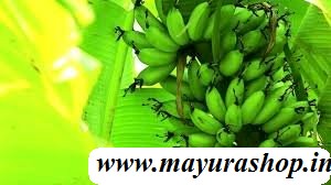 தேன் வாழை