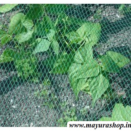 Garden plant Climbing rope  6" x 4 "