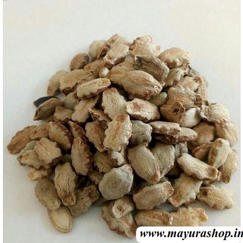  புடலை விதை   5 Grm Packet -விதை