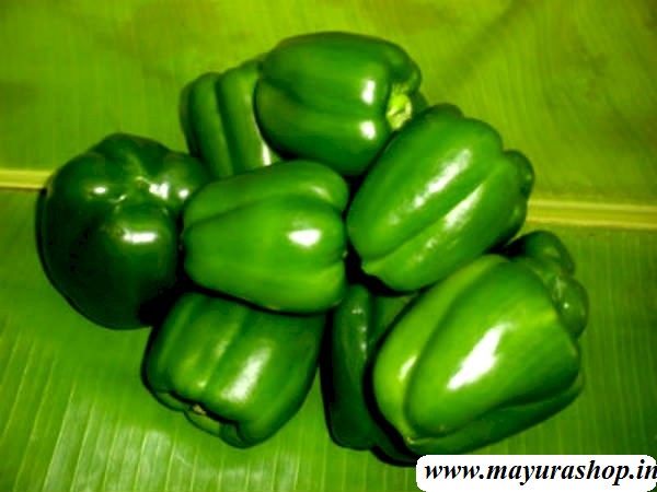 குடைமிளகாய்  விதை   5 Grm Packet -விதை