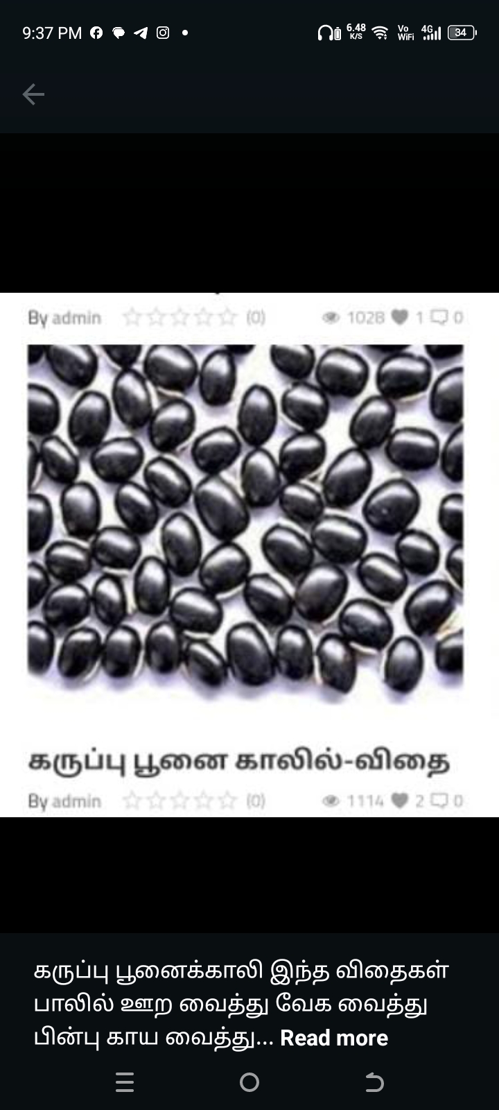 கருப்பு பூனை காலில்-விதை