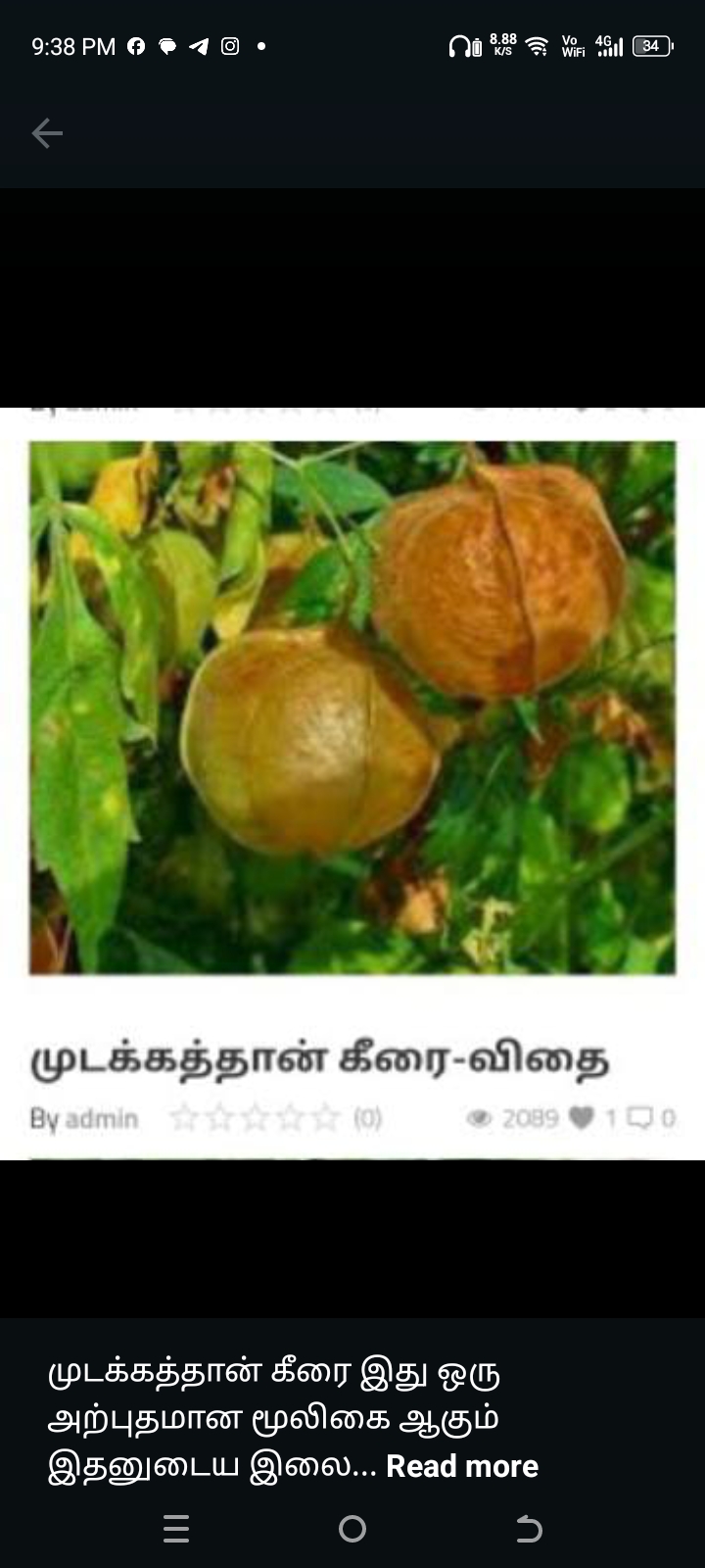 முடக்கத்தான் கீரை-விதை