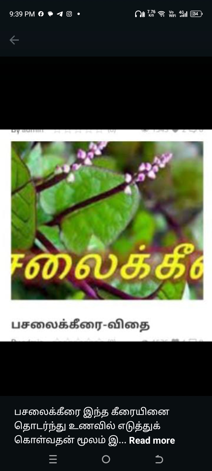 பசலைக்கீரை-விதை