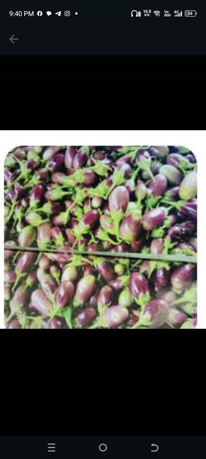 பவானி கத்திரி-விதை