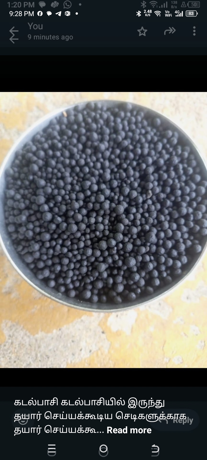 கடல் பாசி 500 gm
