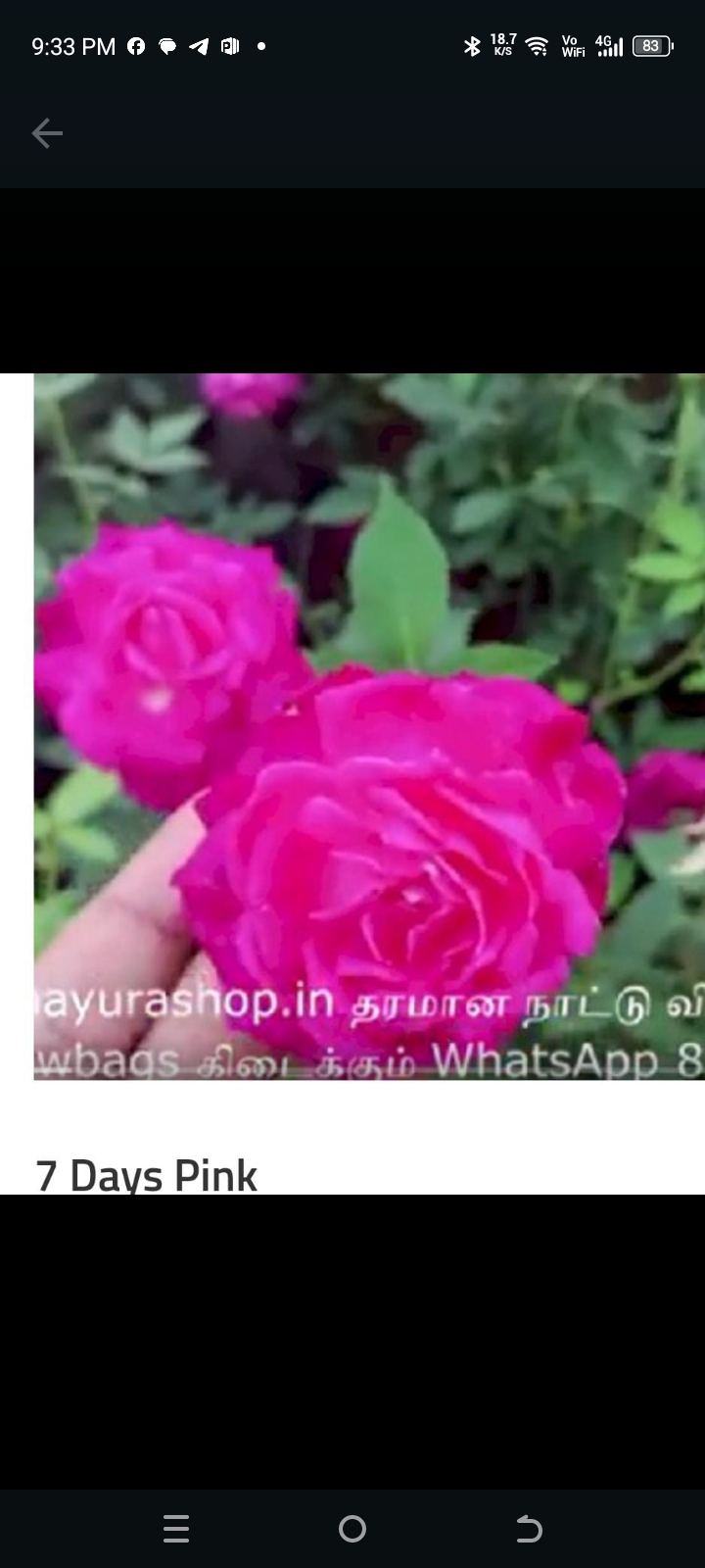 7 Days Pink